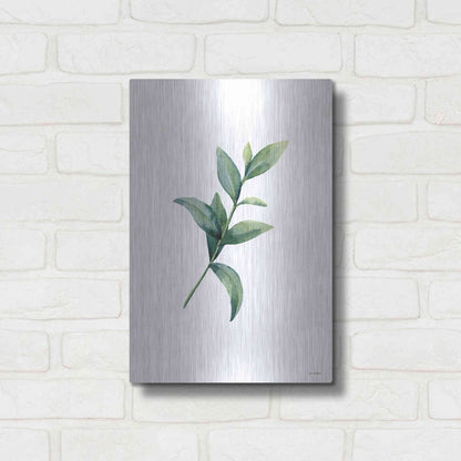 Luxe Metal Art 'Eucalyptus III' by Seven Trees Design, Metal Wall Art,12x16