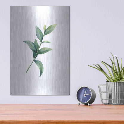 Luxe Metal Art 'Eucalyptus III' by Seven Trees Design, Metal Wall Art,12x16