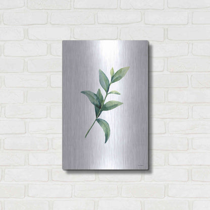 Luxe Metal Art 'Eucalyptus III' by Seven Trees Design, Metal Wall Art,16x24