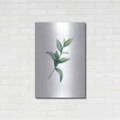 Luxe Metal Art 'Eucalyptus III' by Seven Trees Design, Metal Wall Art,24x36