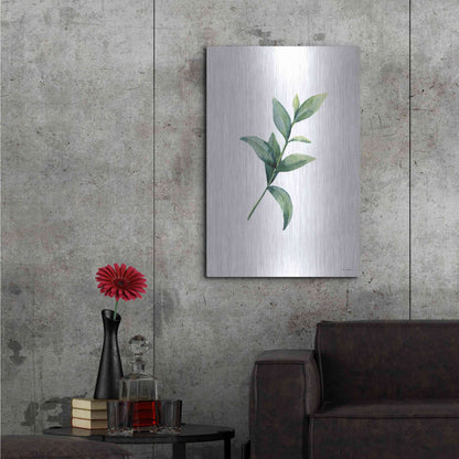 Luxe Metal Art 'Eucalyptus III' by Seven Trees Design, Metal Wall Art,24x36
