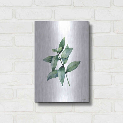 Luxe Metal Art 'Eucalyptus IV' by Seven Trees Design, Metal Wall Art,12x16
