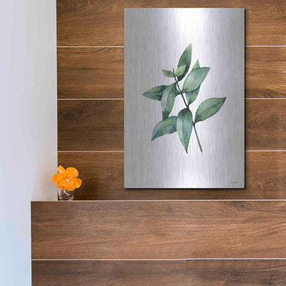 Luxe Metal Art 'Eucalyptus IV' by Seven Trees Design, Metal Wall Art,12x16