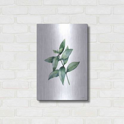 Luxe Metal Art 'Eucalyptus IV' by Seven Trees Design, Metal Wall Art,16x24