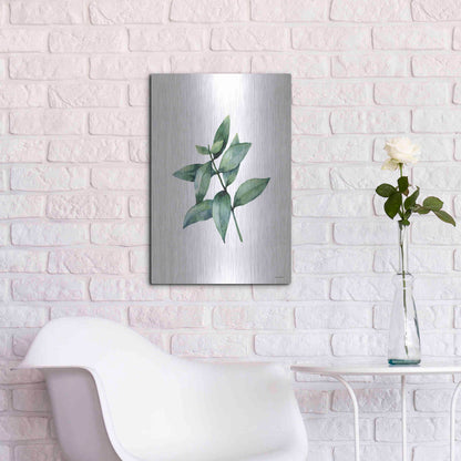 Luxe Metal Art 'Eucalyptus IV' by Seven Trees Design, Metal Wall Art,16x24