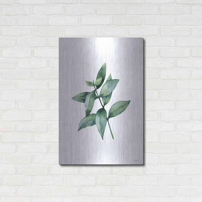 Luxe Metal Art 'Eucalyptus IV' by Seven Trees Design, Metal Wall Art,24x36