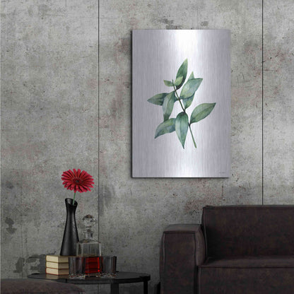 Luxe Metal Art 'Eucalyptus IV' by Seven Trees Design, Metal Wall Art,24x36