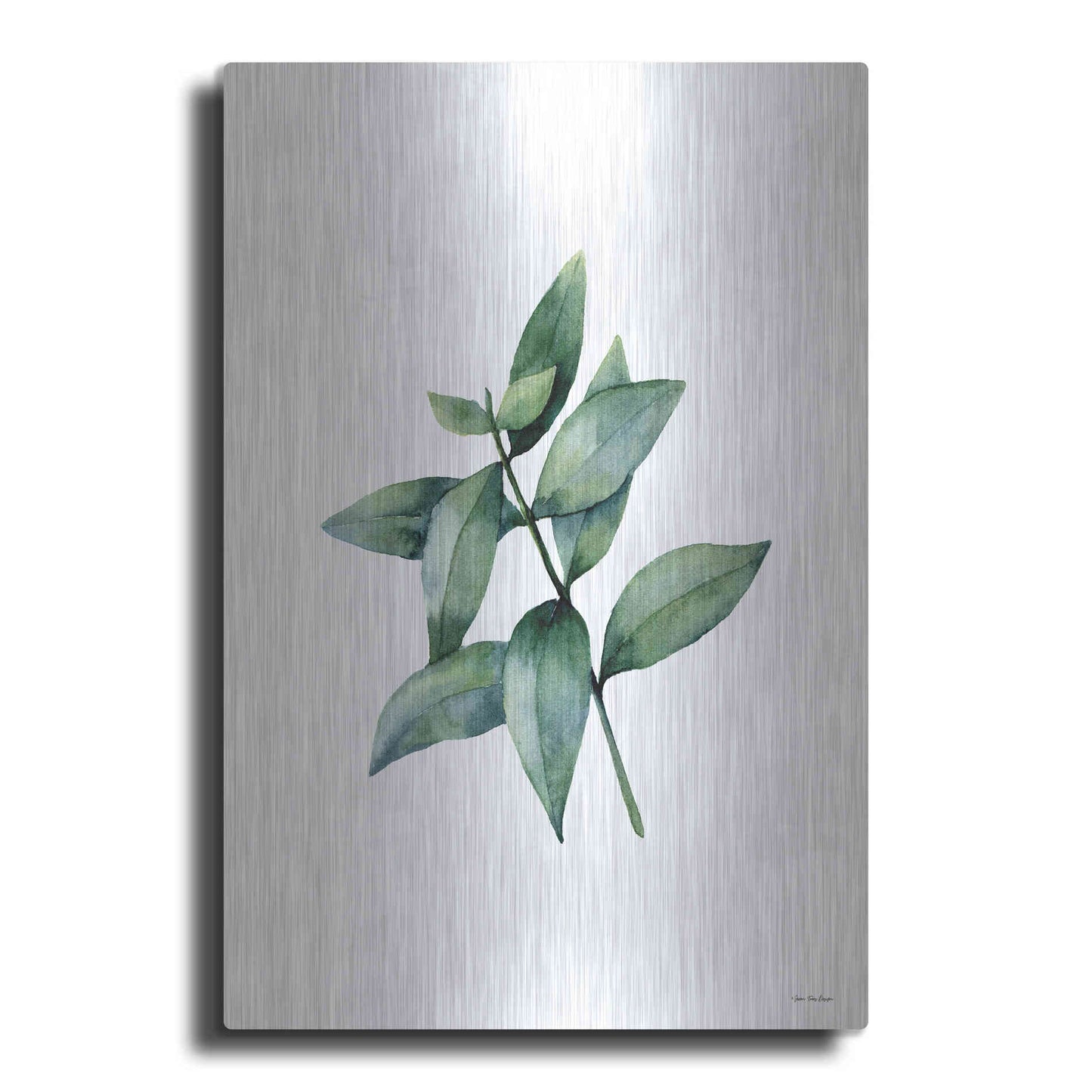 Luxe Metal Art 'Eucalyptus IV' by Seven Trees Design, Metal Wall Art