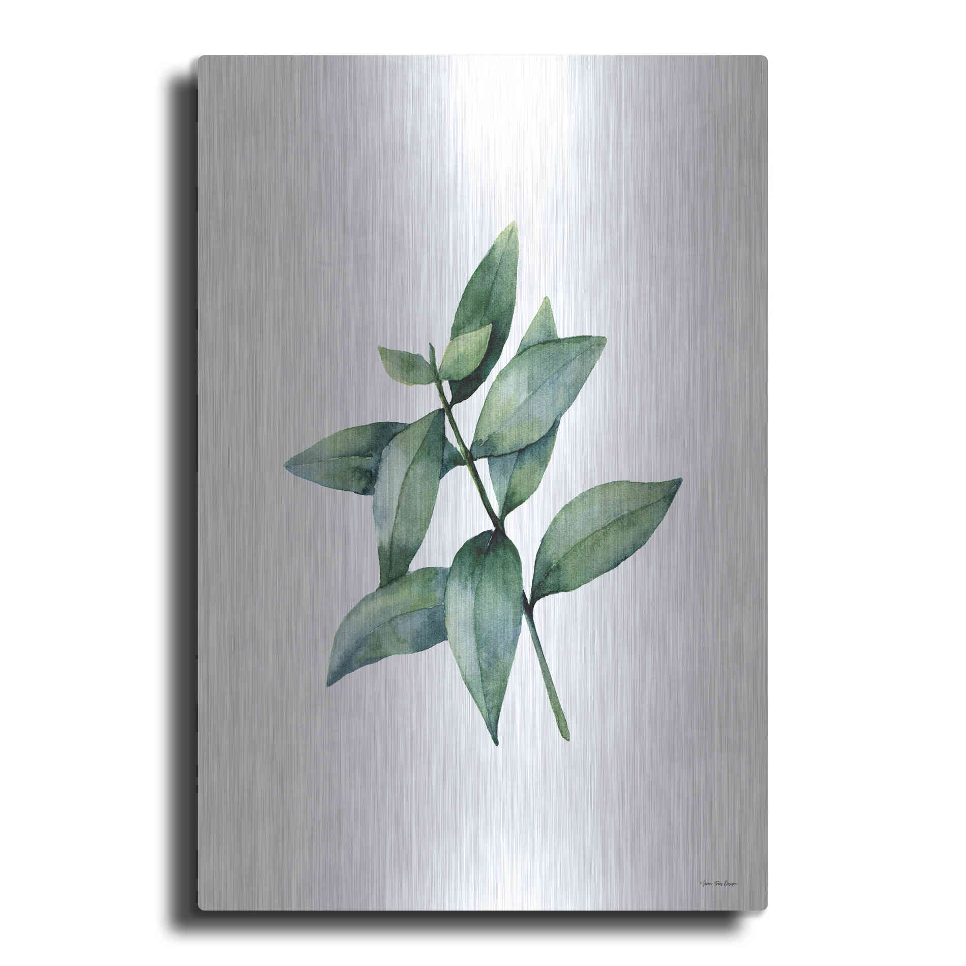 Luxe Metal Art 'Eucalyptus IV' by Seven Trees Design, Metal Wall Art