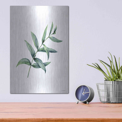 Luxe Metal Art 'Eucalyptus V' by Seven Trees Design, Metal Wall Art,12x16