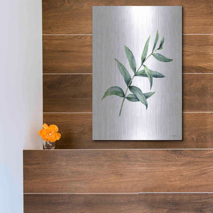 Luxe Metal Art 'Eucalyptus V' by Seven Trees Design, Metal Wall Art,12x16