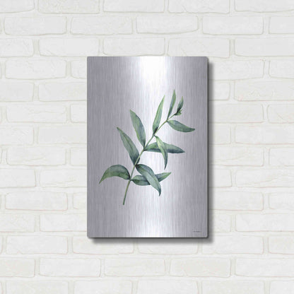 Luxe Metal Art 'Eucalyptus V' by Seven Trees Design, Metal Wall Art,16x24