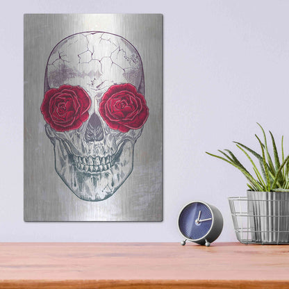 Luxe Metal Art 'Skull & Roses' by Rachel Caldwell, Metal Wall Art,12x16