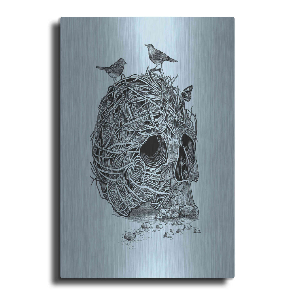 Luxe Metal Art 'Skull Nest' by Rachel Caldwell, Metal Wall Art