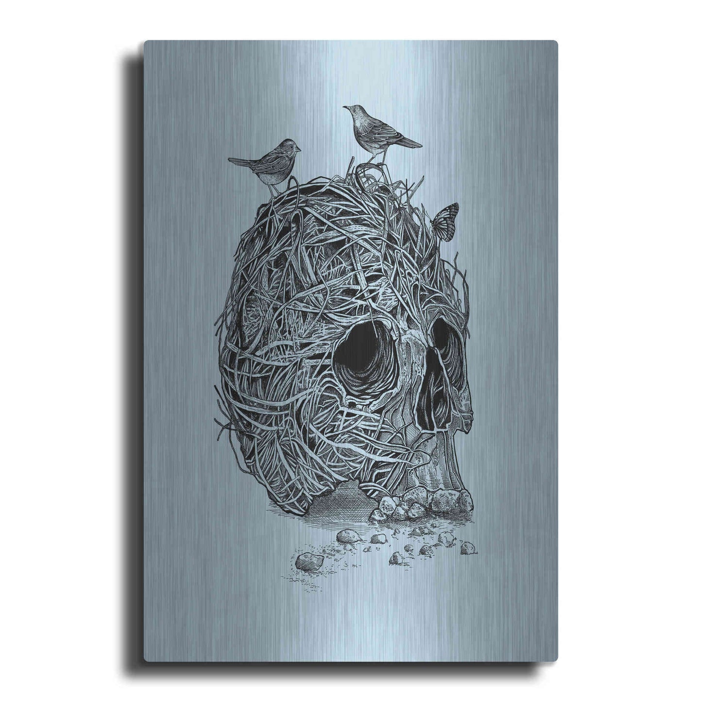 Luxe Metal Art 'Skull Nest' by Rachel Caldwell, Metal Wall Art