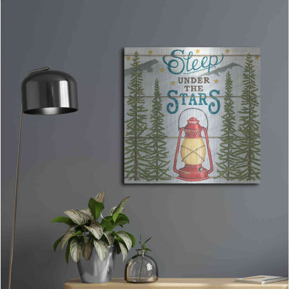 Luxe Metal Art 'Sleep Under the Stars' by Deb Strain, Metal Wall Art,24x24