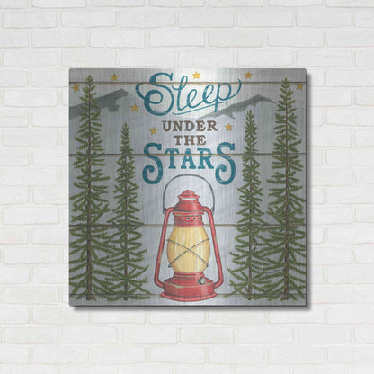 Luxe Metal Art 'Sleep Under the Stars' by Deb Strain, Metal Wall Art,36x36