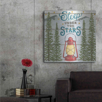 Luxe Metal Art 'Sleep Under the Stars' by Deb Strain, Metal Wall Art,36x36