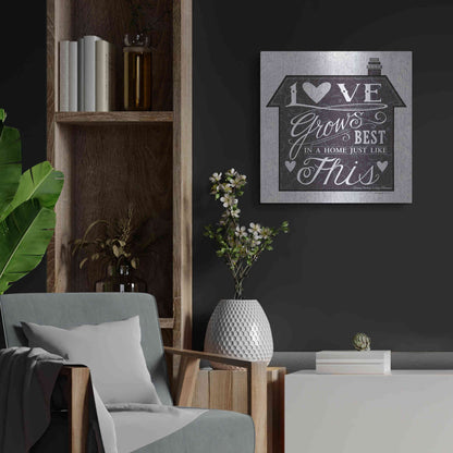 Luxe Metal Art 'In a Home' by Deb Strain, Metal Wall Art,24x24