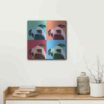 Luxe Metal Art 'Que Pasa Pop' by Jon Bertelli, Metal Wall Art,12x12