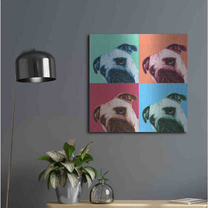 Luxe Metal Art 'Que Pasa Pop' by Jon Bertelli, Metal Wall Art,24x24