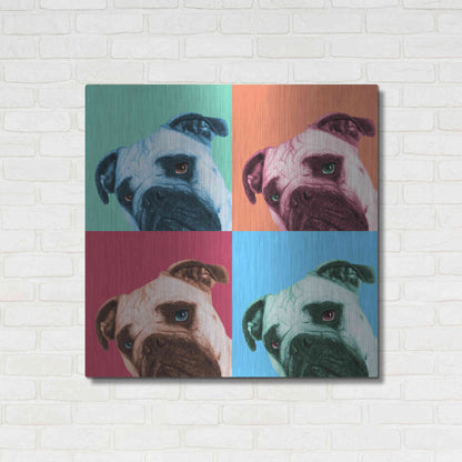 Luxe Metal Art 'Que Pasa Pop' by Jon Bertelli, Metal Wall Art,36x36
