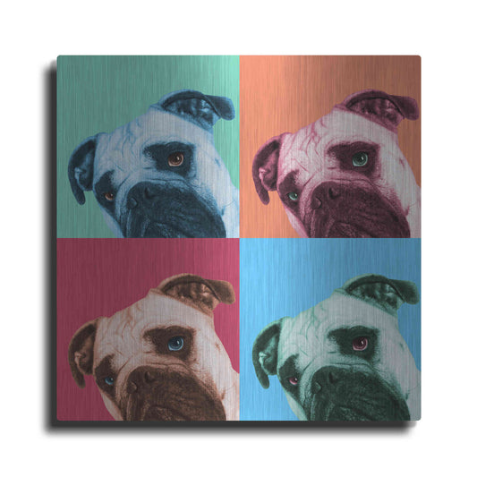 Luxe Metal Art 'Que Pasa Pop' by Jon Bertelli, Metal Wall Art