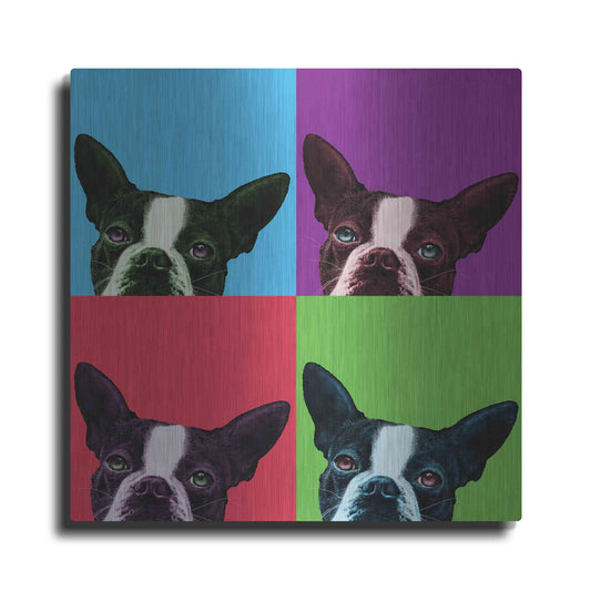 Luxe Metal Art 'Loyalty Pop' by Jon Bertelli, Metal Wall Art