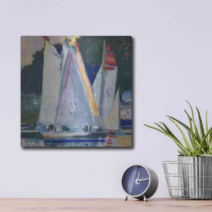 Luxe Metal Art 'Waiting For Wind' by Beth Forst, Metal Wall Art,12x12