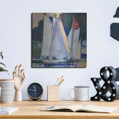 Luxe Metal Art 'Waiting For Wind' by Beth Forst, Metal Wall Art,12x12