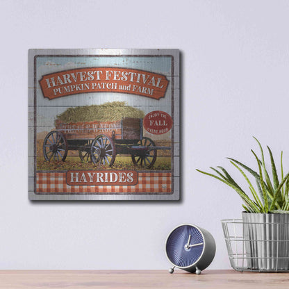 Luxe Metal Art 'Harvest Festival' by Mollie B, Metal Wall Art,12x12