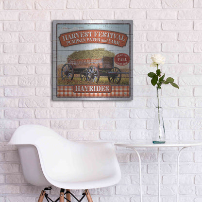 Luxe Metal Art 'Harvest Festival' by Mollie B, Metal Wall Art,24x24