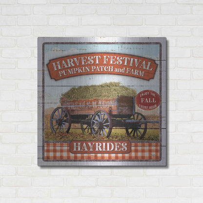 Luxe Metal Art 'Harvest Festival' by Mollie B, Metal Wall Art,36x36