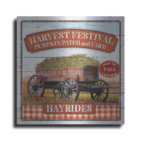 Luxe Metal Art 'Harvest Festival' by Mollie B, Metal Wall Art