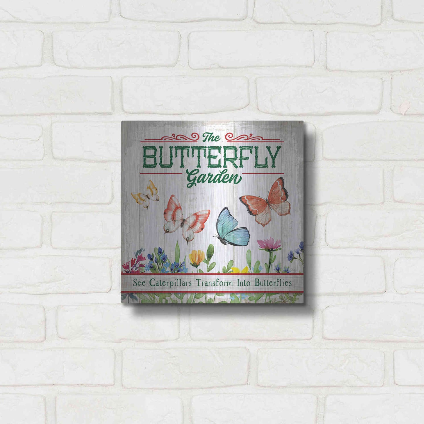 Luxe Metal Art 'Butterly Farm' by Mollie B, Metal Wall Art,12x12