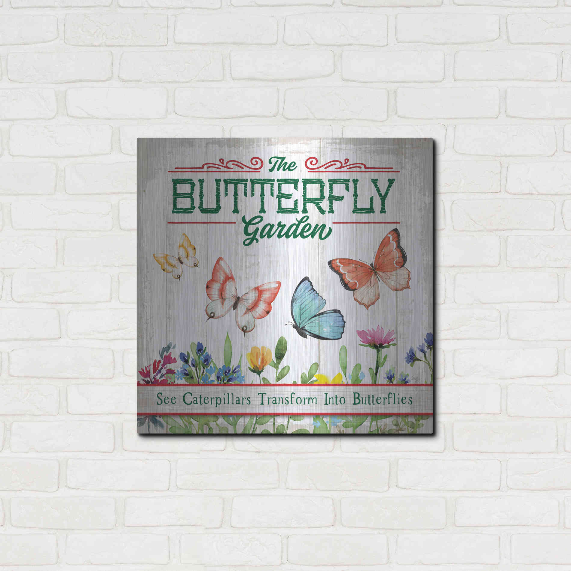 Luxe Metal Art 'Butterly Farm' by Mollie B, Metal Wall Art,24x24