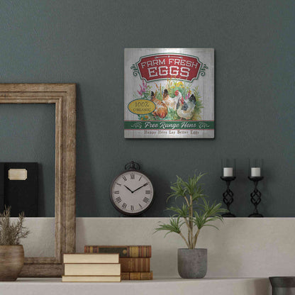 Luxe Metal Art 'Fresh Eggs' by Mollie B, Metal Wall Art,12x12