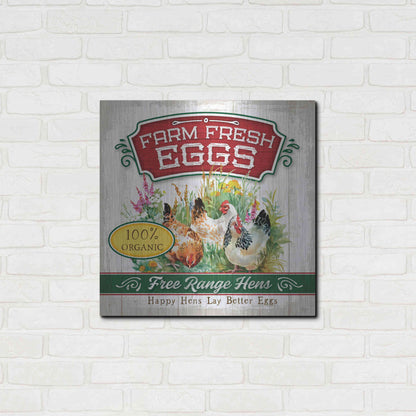 Luxe Metal Art 'Fresh Eggs' by Mollie B, Metal Wall Art,24x24