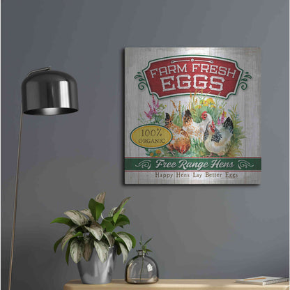 Luxe Metal Art 'Fresh Eggs' by Mollie B, Metal Wall Art,24x24