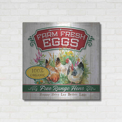 Luxe Metal Art 'Fresh Eggs' by Mollie B, Metal Wall Art,36x36