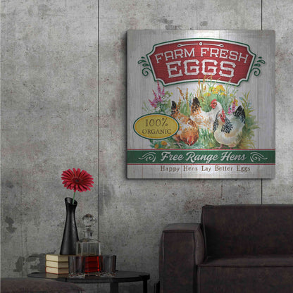 Luxe Metal Art 'Fresh Eggs' by Mollie B, Metal Wall Art,36x36