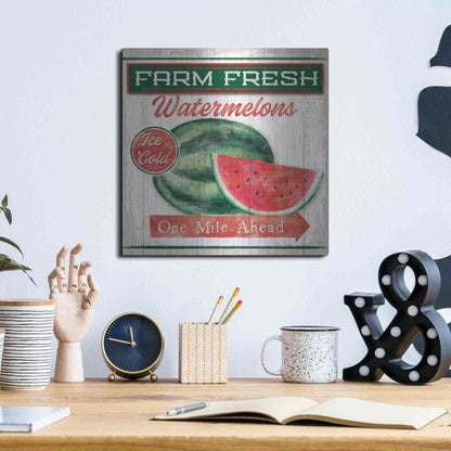 Luxe Metal Art 'Watermelon Farm' by Mollie B, Metal Wall Art,12x12