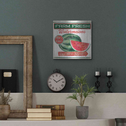 Luxe Metal Art 'Watermelon Farm' by Mollie B, Metal Wall Art,12x12