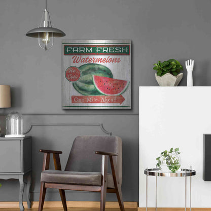 Luxe Metal Art 'Watermelon Farm' by Mollie B, Metal Wall Art,24x24