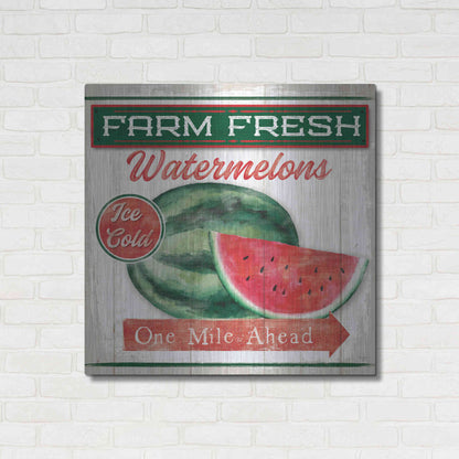 Luxe Metal Art 'Watermelon Farm' by Mollie B, Metal Wall Art,36x36