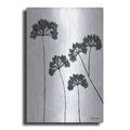 Luxe Metal Art 'Queen Anne's Lace II' by Roey Ebert, Metal Wall Art