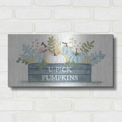 Luxe Metal Art 'U-Pick Pumpkins' by Sara Baker, Metal Wall Art,24x12