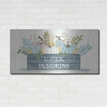 Luxe Metal Art 'U-Pick Pumpkins' by Sara Baker, Metal Wall Art,48x24