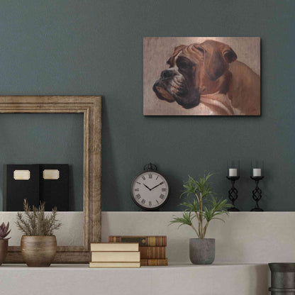 Luxe Metal Art 'Boxer' by Thomas Fluharty, Metal Wall Art,16x12