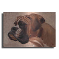 Luxe Metal Art 'Boxer' by Thomas Fluharty, Metal Wall Art